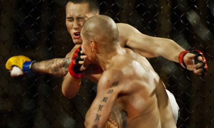 8 THINGS THAT REVEAL ALL ABOUT MIXED MARTIAL ARTS
