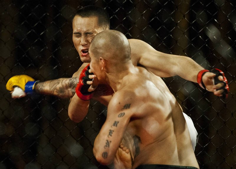 8 THINGS THAT REVEAL ALL ABOUT MIXED MARTIAL ARTS